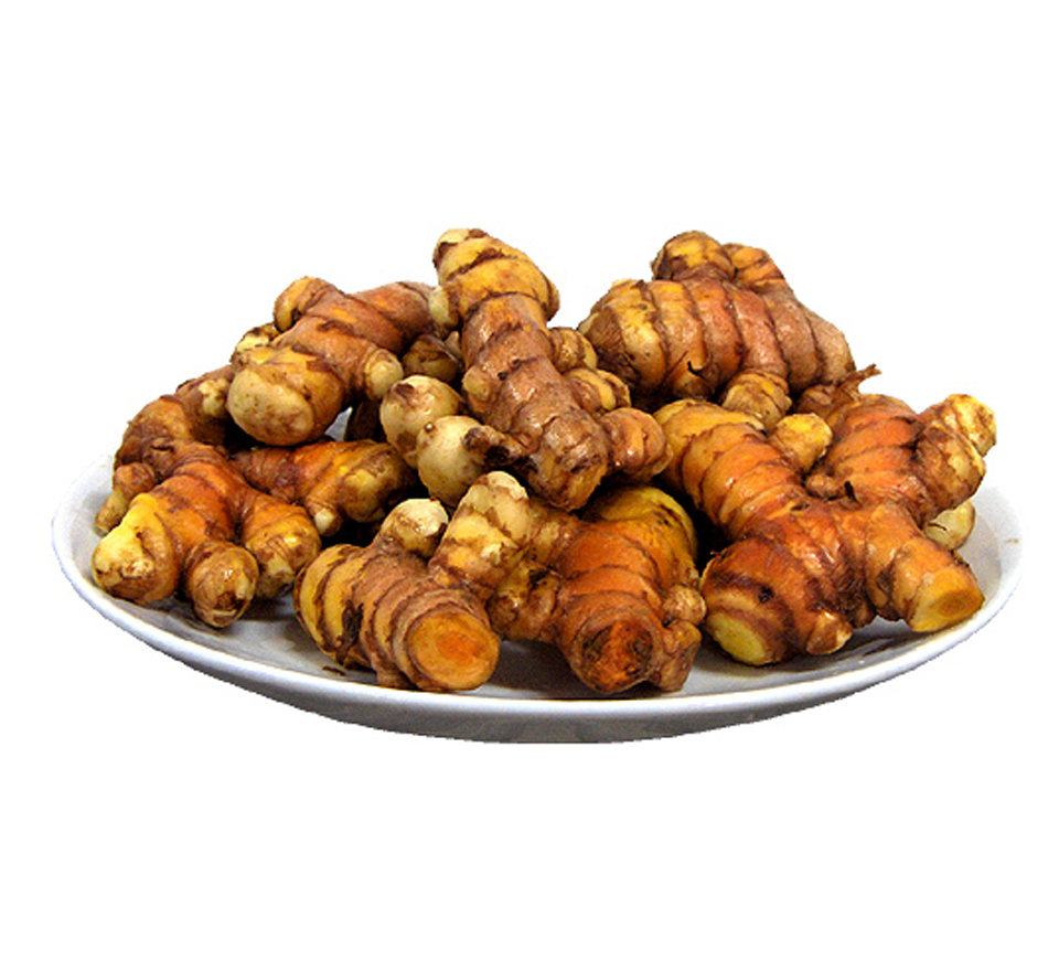 울금종자(특)10kg